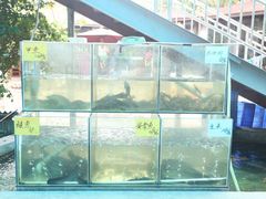 -杨厝六十六农庄农舍(杨厝路店)