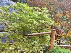 -汤家茗苑·精致私房菜(白沙店)