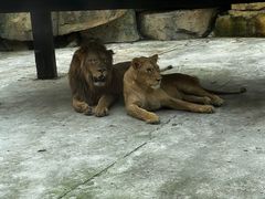 -南京金牛湖风景区