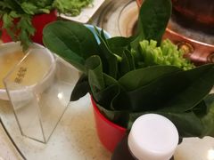 -阳坊胜利涮羊肉(阳坊老店)