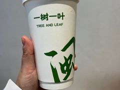 -一树一叶·福建茶档(石鼓路店)