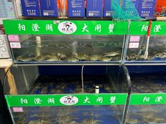 -阳澄湖大闸蟹·琼灵阁牌品牌连锁(吴中总店)