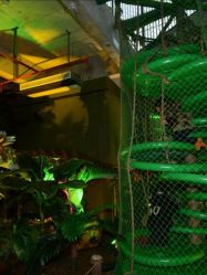 点击看大图 -恐龙探索乐园(磁器口店)