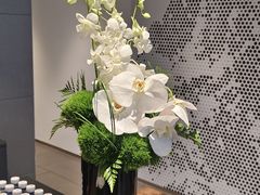 -上海浦东保时捷中心