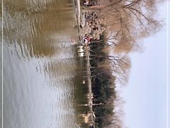 -洛阳市隋唐城遗址植物园