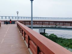 -宝安西湾红树林湿地公园