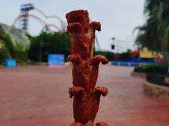 -厦门方特梦幻王国