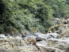 -九峰山