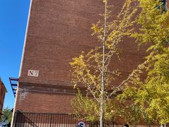 -北京市海淀外国语实验学校