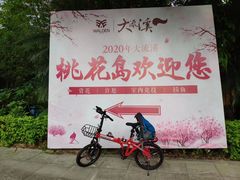 -广州市流溪河国家森林公园