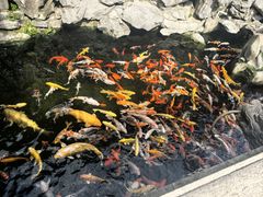 -西林禅寺