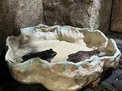-青青世界