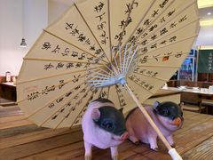 -春家·非遗手工小吃(徐汇万科广场店)