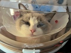 -北京恒爱动物医院(清景园分院)