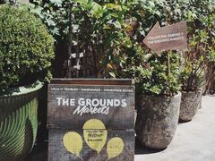 -The Grounds of Alexandria