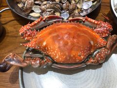 梭子蟹-必点海鲜·鲅鱼水饺(鞍山西道店)
