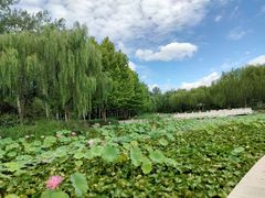 -石家庄市植物园