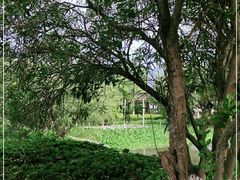 -乌石塘景区