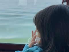 -西湖游船