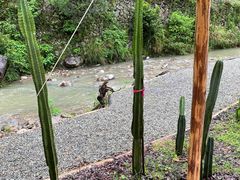 -MOJ coffee(瓯海泽雅水碓坑店)