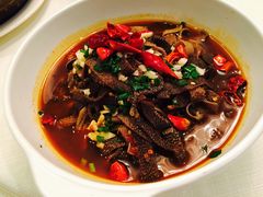 辣浸毛肚-麓湘小镇(开福万达广场店)
