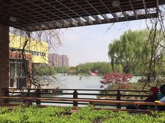 -青枫公园
