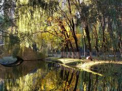 -长白岛森林公园