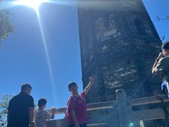 -上海佘山国家森林公园天马山园