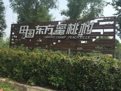-田园东方蜜桃村的田野营地