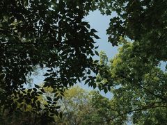 -鹫峰国家森林公园