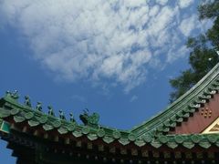 -颐和园