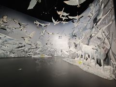 -中国湿地博物馆