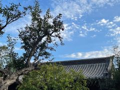-青州古城