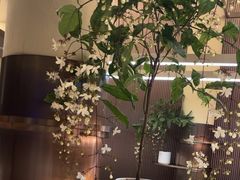 -浅深(天桥店)