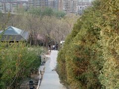 -南翠屏公园
