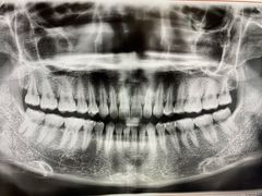 -泰康拜博口腔(世博园乐尔店)