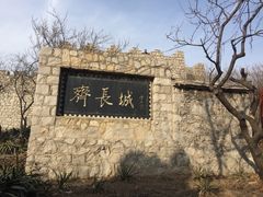 -原山国家森林公园