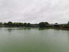 -伟记牛蹄(道滘店)