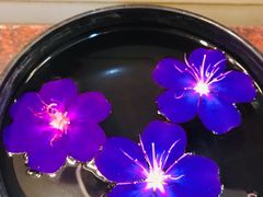 -西双版纳洲际度假酒店-曼霖轩中餐厅