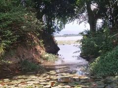 -西昌邛海湿地
