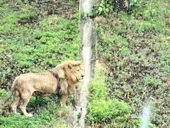 -西霞口神雕山野生动物世界
