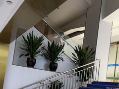 -美可普口腔医院(东街分店)