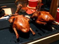 -羽鸽集·乳鸽专门店·地道顺德菜(岭南站店)