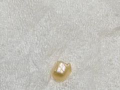 -扬州狮子楼·非遗淮扬菜(东关街店)