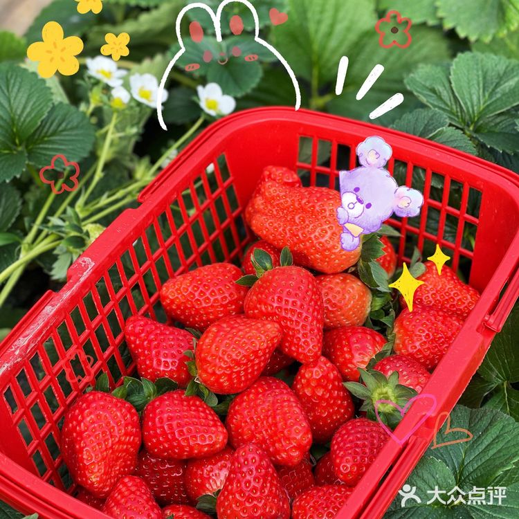 草莓🍓草莓🍓 你想我莓