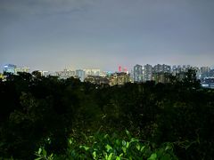 -金鸡山公园