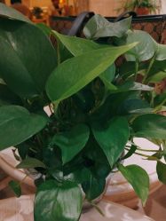 -北京俪婴妇产医院(朝阳大悦城店)