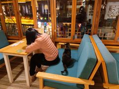 -猫的天空之城概念书店(丽江古城饮玉巷店)