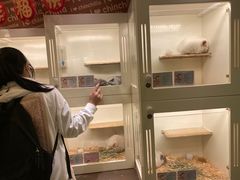 -龙猫仔乐园(惠福东路店)