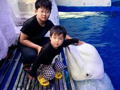 -秦皇岛乐岛海洋王国